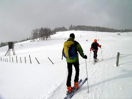 Hochstaff: Am unteren Rand der Weißenbachalm