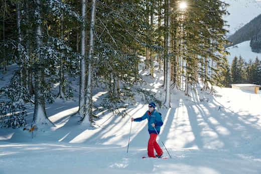 Schneeschuhlaufen Arni