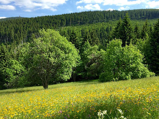 Alte Poststraße mit Blick zum Keilberg