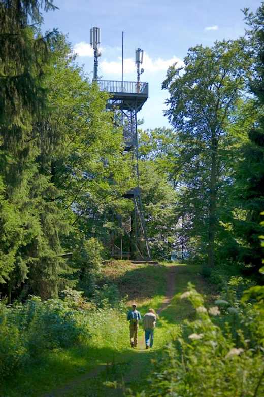 Lerbach Kuckholzklippe