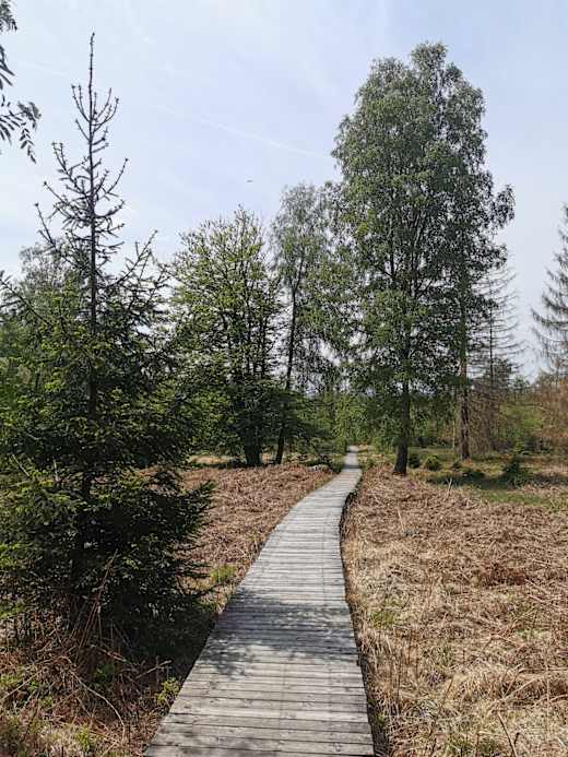 Naturschutzgebiet Hühnerfeld