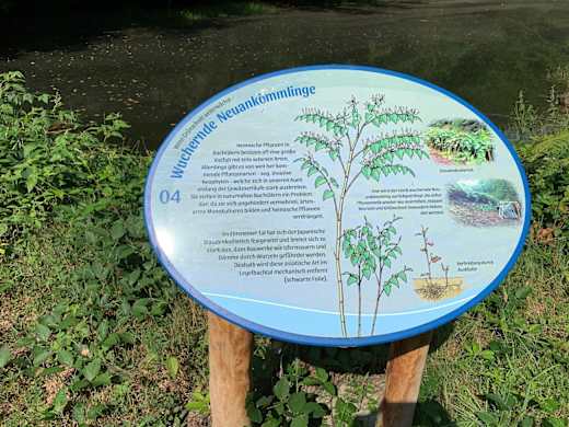 Wenn Grünschnitt weiterwächst-Infotafel 4