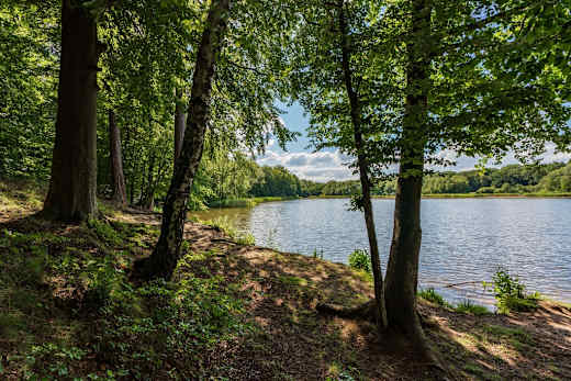 Der Priorteich in Walkenried