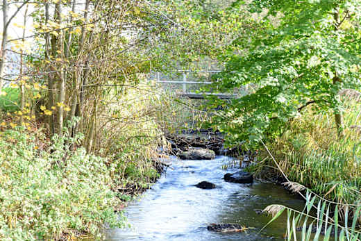 Naturschutzgebiet Borkener Paradies mit Aussichtspunkt