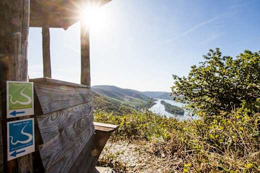 Rheinblick auf dem Rhein-Wisper-Glück Weg