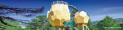 Zirbenturm Fun 4 kids am Hochzeiger