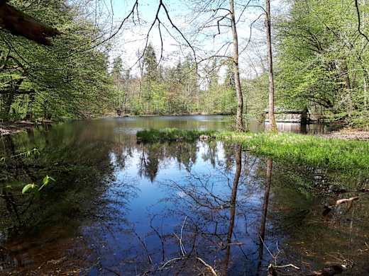 Bootshütte am Huckinger See