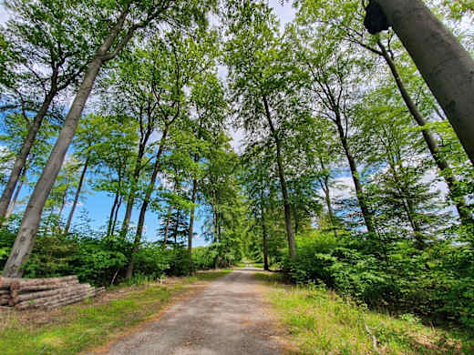 Auf dem Mescheder Höhenwanderweg