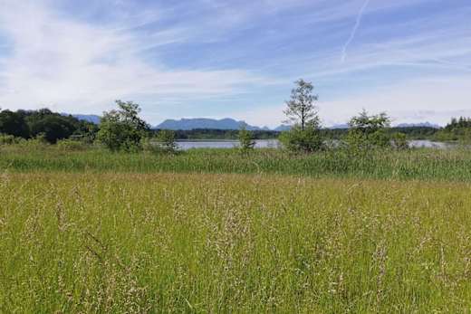 Blick auf den Hartsee und das Alpenpanorama
