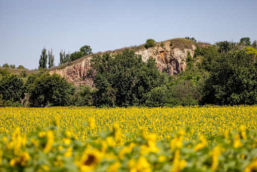 Felsen der Lunzberge in Halle