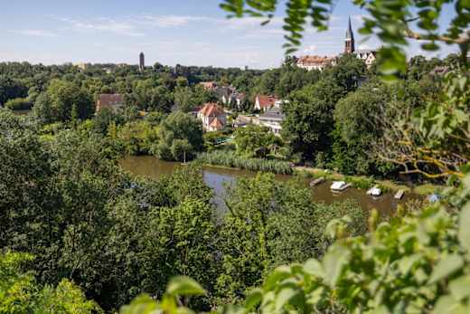 Idyllische Saaleaue bei Halle