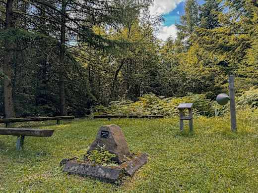 Bloße Zelle Grünenplan