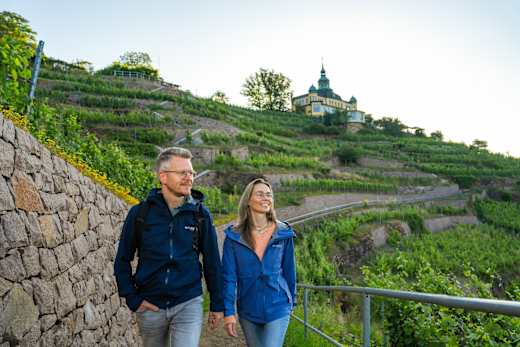 Wandern am Spitzhaus Radebeul