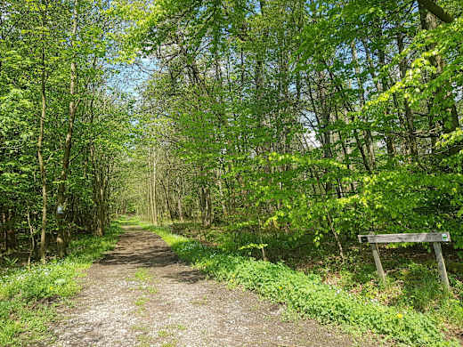 Wegweister zum Seitenstein