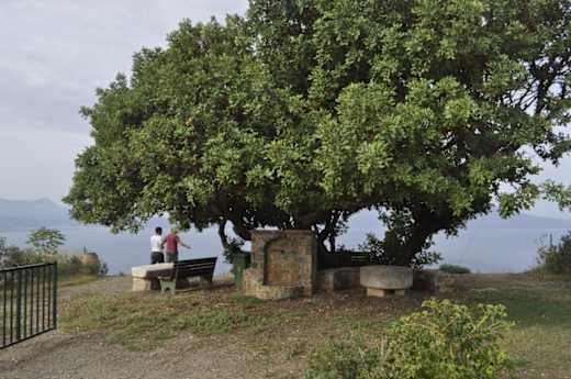 Chania Trails - PLA 13 - Reise in die Vergangenheit (K2)