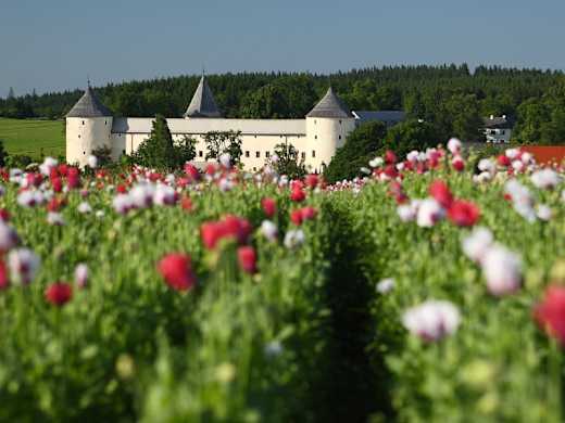 Schloss Ottenschlag