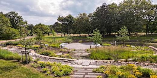 Nebelgarten