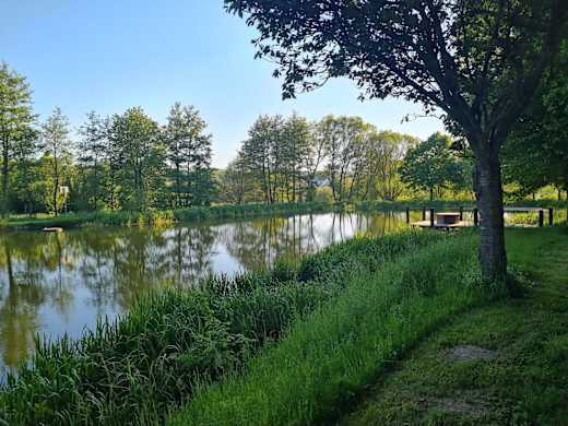 Teichanlage Flaumbachtal