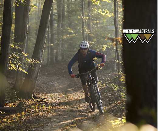 Wienerwald Trails