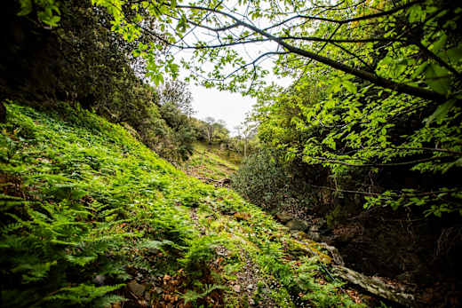 Chania Trails - PLA 10 - Natur und Geologie (B1)