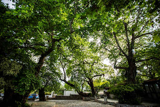 Chania Trails - PLA 15 - Der Höhlenweg (K4)