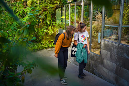 Zwei Frauen bestaunen ein Terrarium im Tropenhaus des Tierparks Dählhölzli.