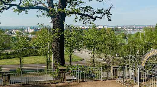 Blick von der Brauhaus Waldschlösschen - Terrasse