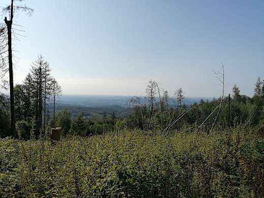 Blick von der Hohen Wurzel auf die "ebsch Seid"-> Rheinhessen