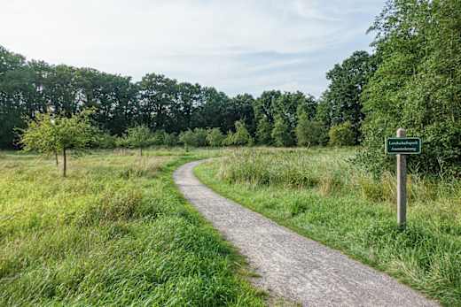 Aueweg