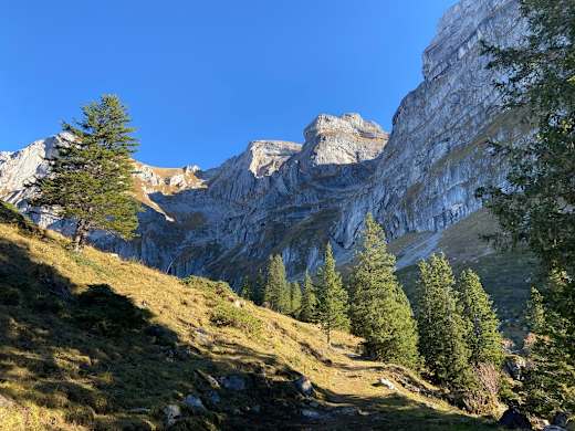 Walenpfad