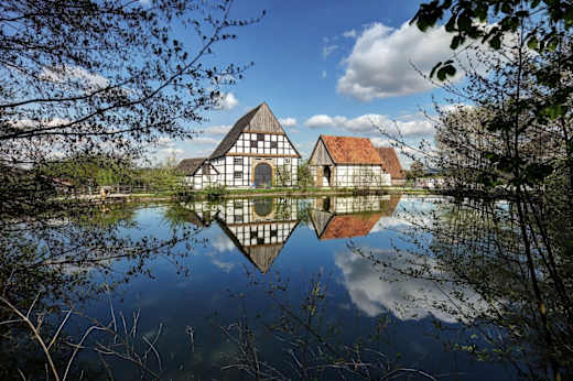 Der Dorfteich des LWL-Freilichtmuseums Detmold.