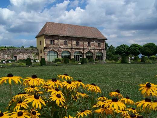 orangerie3InternetWolfgangHenn