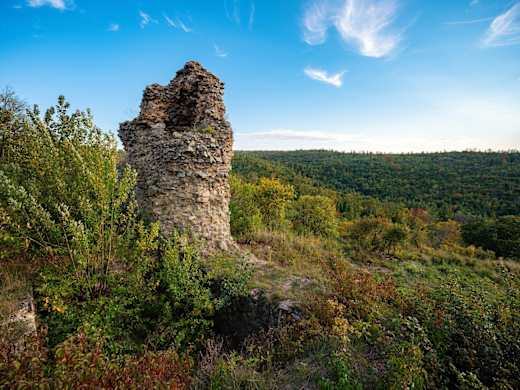 Burgruine Hornstein