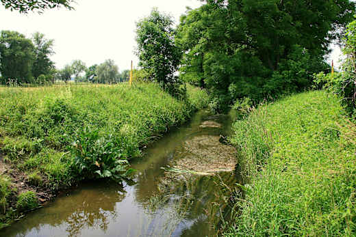 Lauf der Fuhne