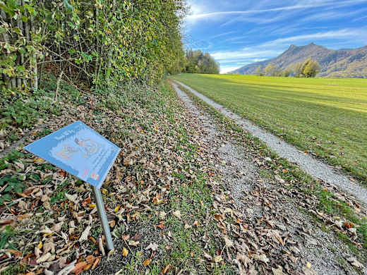 Mund-Art Weg Aschau i.Ch.