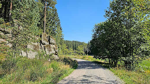 Jungfernsprung im Zinsbachtal bei Grünheide