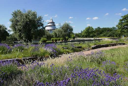 Elbauenpark mit Blick zum Jahrtausendturm