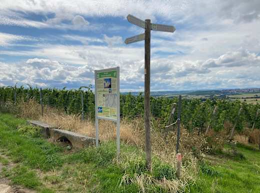 Informationstafel zur EXTRATOUR nach Nieder-Olm