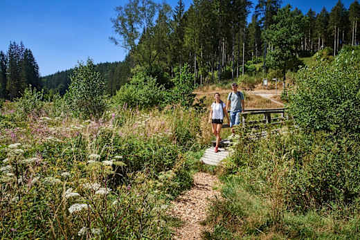 An der Brücke im Wadrilltal