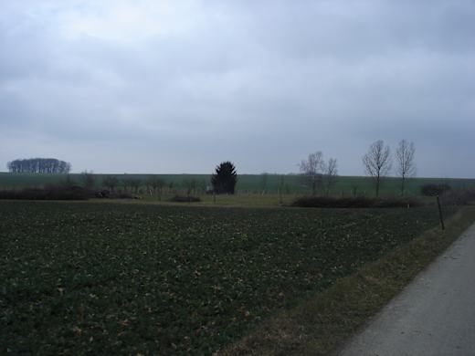 Biotop Sigisweiler