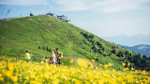 Bergsommer auf der Schmittenhöhe