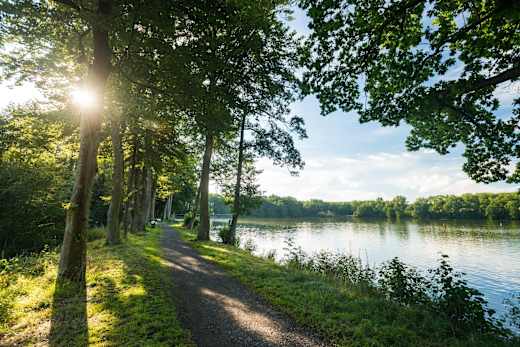 Secker Weiher