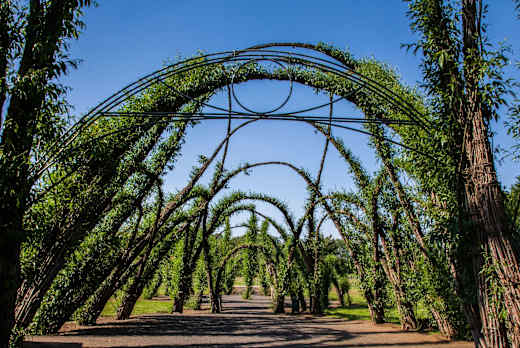 Weidenburg Arena Salix, Burg (Spreewald), Foto: Peter Becker, Lizenz: Amt Burg (Spreewald)