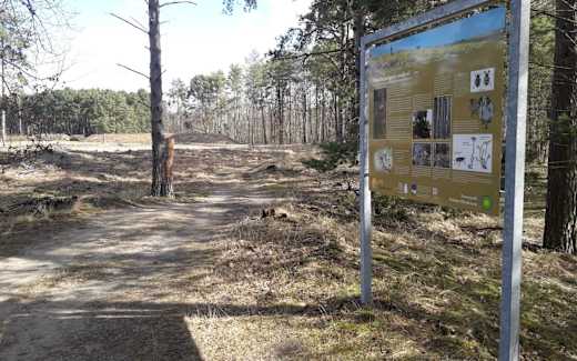 Projektfläche mit Infotafel, Foto: Bettina Unverricht, Lizenz: Stiftung Naturschutzfonds Brandenburg