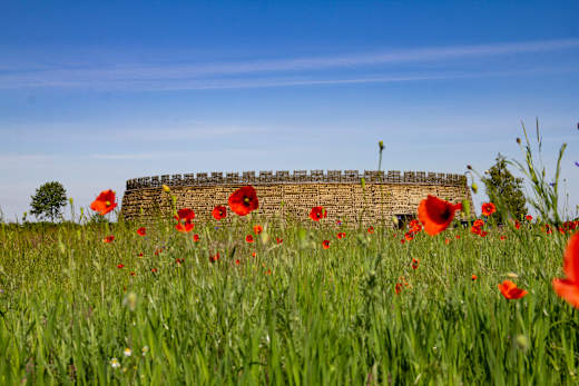 Die Slawenburg Raddusch im Mohnblütenmeer, Foto: Ö Grafik_sk, Foto: Ö Grafik_sk