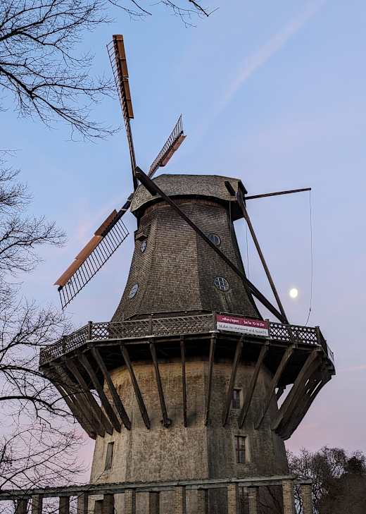 Historische Mühle von Sanssouci , Foto: Alexandra Majorov, Lizenz: Mühlenvereinigung Berlin-Brandenburg e.V.