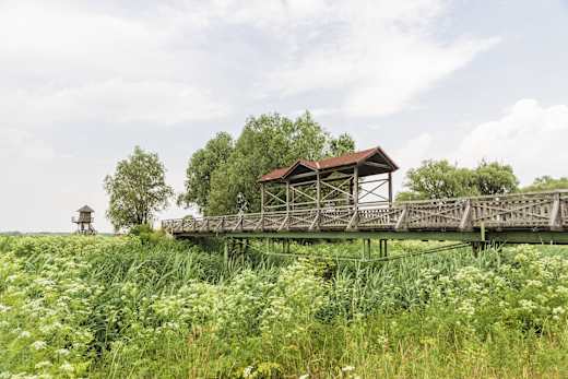Andau, Brücke von Andau