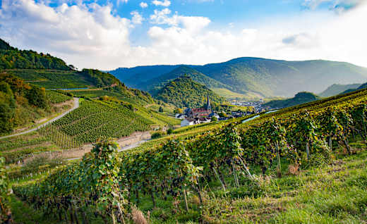 Bad Neuenahr-Ahrweiler, Ahrtal