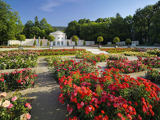Baden bei Wien, Rosarium