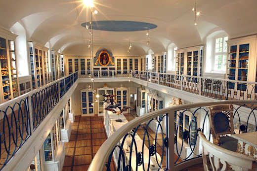 Bamberg, Naturkundemuseum